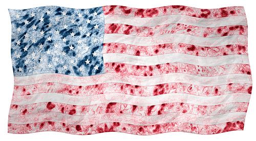 American USA Stars and Stripes flag grungy pen and ink effect