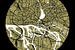 Hamburg - Stadsplattegrond ontwerp stadsplattegrond (Grunge) van ViaMapia