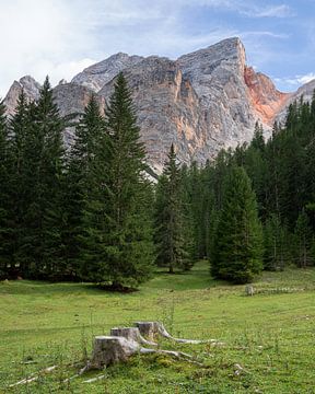 Pragser Tal, Südtirol, Italien