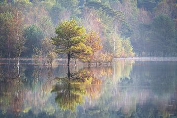 Herfstscene reflectie in het water van Erwin Pilon