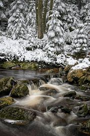 L'hiver en Hoegne - Magnifiques Ardennes sur Rolf Schnepp