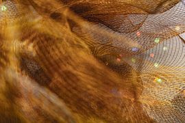 Élégance dorée : macrostructure en métal tissé sur Mixed media vector arts