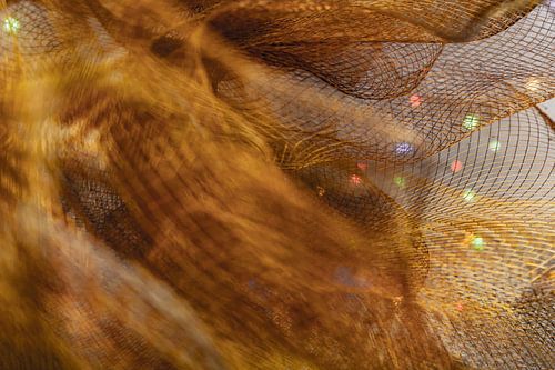 Gouden elegantie: gaas macrostructuur