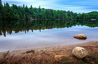 Algonquin Park, Ontario, Kanada von Timo  Kester Miniaturansicht