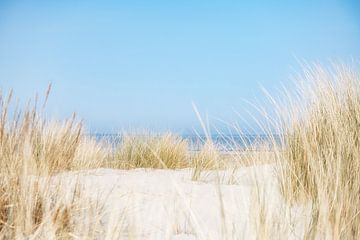 Dunes on Schiermonnikoog by Ron van der Stappen
