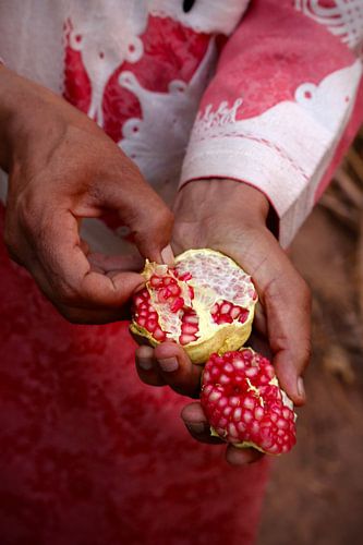 Süßer Schatz der Todgha-Oase