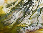 Searles Lake, Californie, USA van Marco van Middelkoop thumbnail