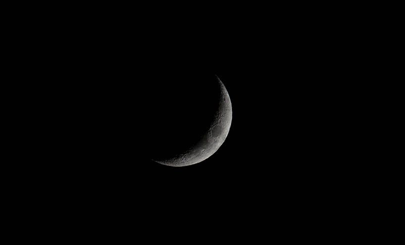 Crescent Moon by Julia Schellig