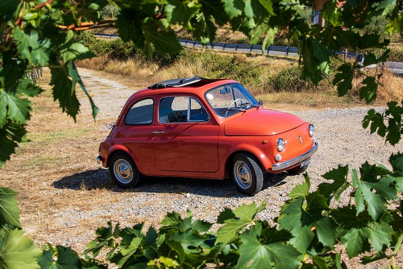 Fiat 500 in vineyard (4) by Jolanda van Eek en Ron de Jong