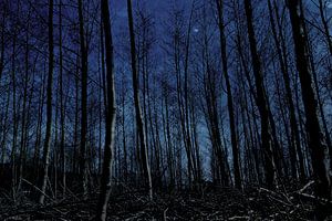 mitternachtsblau