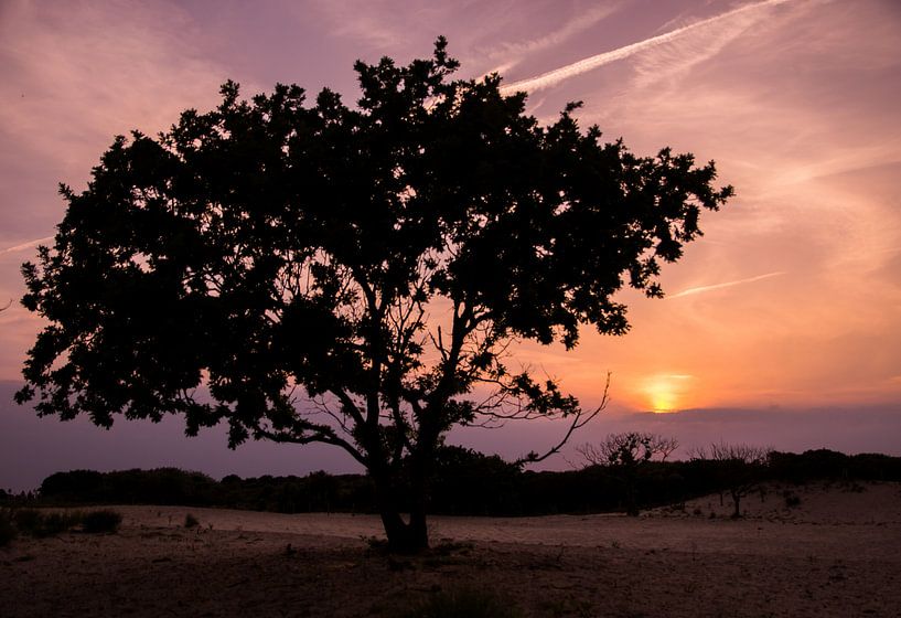 Sunset in the dunes of The Hague by Wouter Kouwenberg