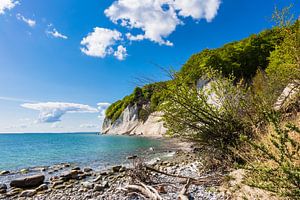 An der Küste der Ostsee auf der Insel Rügen