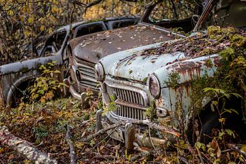 Roestige erfenissen in het bos - autokerkhof in Zweden van Gentleman of Decay