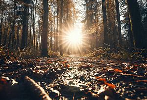 Herbstlandschaft
