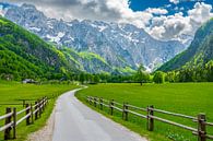 Logar Valley in de Kamnik Savinja Alpen in Slovenië tijdens de lente van Sjoerd van der Wal Fotografie thumbnail
