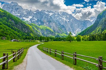 Logar Valley in de Kamnik Savinja Alpen in Slovenië tijdens de lente