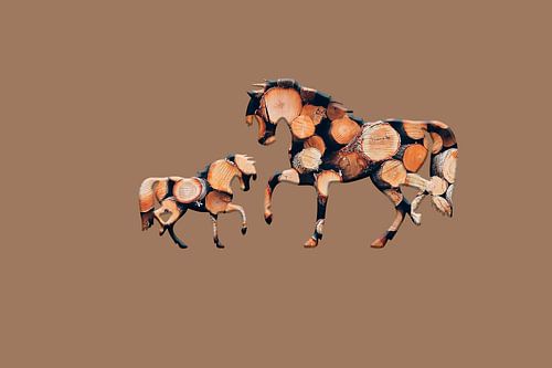 Wooden horses 3