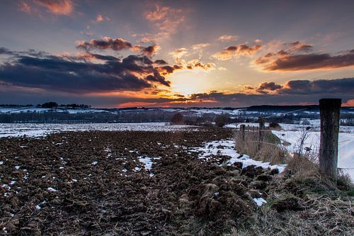 Maart roert zijn staart