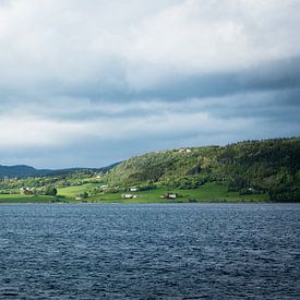 Uitzicht op een groen Noors eiland van Capture the Light