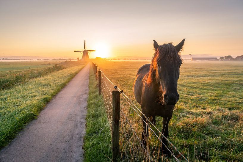 Stay Curious van Melvin Jonker