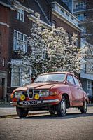 SAAB 96 Color