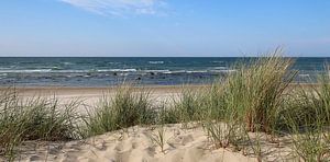 Panorama des dunes