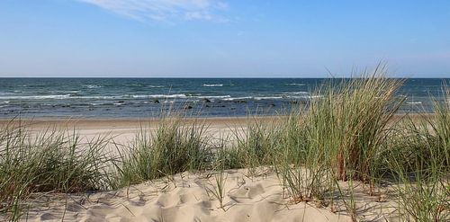 Dune panorama