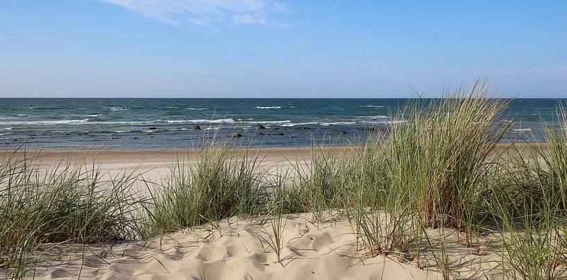 Panorama des dunes par Ostsee Bilder