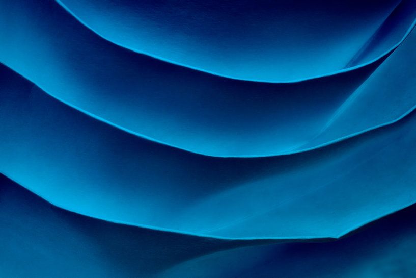 Struktur von Dieter Ludorf