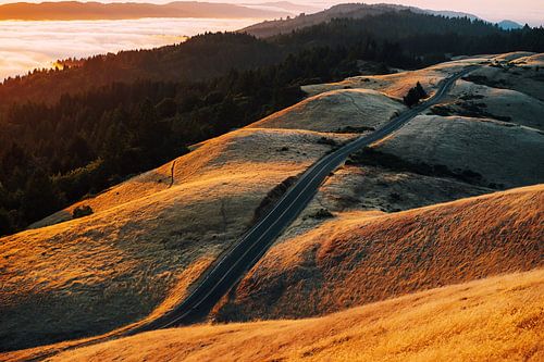 Collines herbeuses