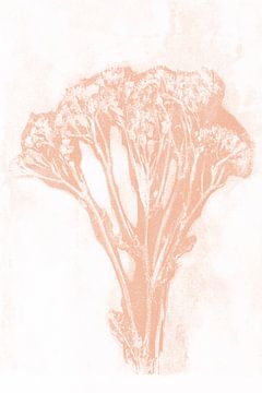 Abstract bloemenboeket in retrostijl. Moderne botanische minimalistische kunst in licht terracotta o van Dina Dankers