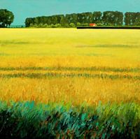 Sommer in Zeeland