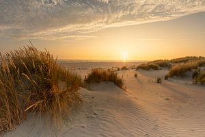 Sonnenuntergang in den Dünen von Ameland bei Nes