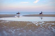 Paarden op het strand van Johan Vanbockryck thumbnail