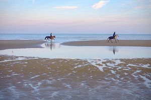 Pferde am Strand