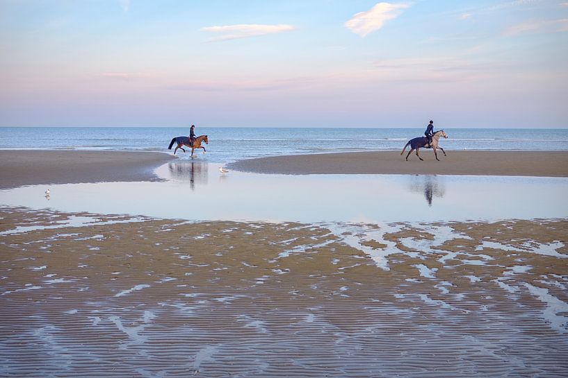 Paarden op het strand van Johan Vanbockryck