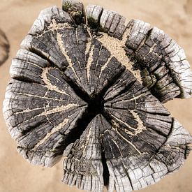 Houten golfbreker op het strand in aardetinten van Lisette Rijkers