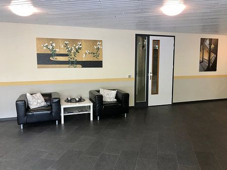 Ogata Korin.Chrysanthemen an einem Bach