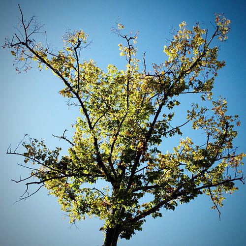 Het begin van de herfst
