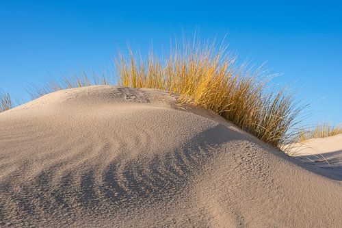 Strand op het eiland Schiermonnikoog in de Waddenzee
