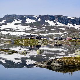 Réflexion nordique sur Jarne Buttiens