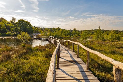 red brook, Brunssummerheide