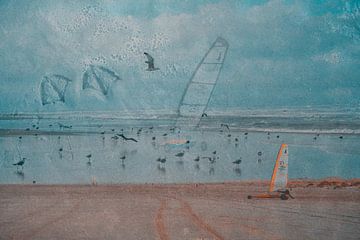 Vogels op Strand van Terschelling met zeilwagen van August Langhout