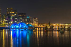 Blue bulbs in the Rijnhaven