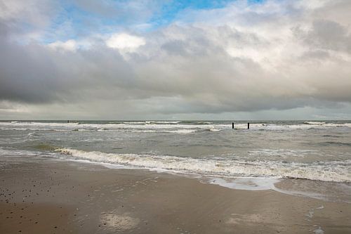 North Sea beach zeeland by anne droogsma