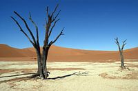 Deadvlei in Namibia