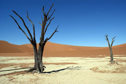 Deadvlei in Namibia