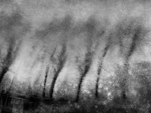 Mystische Spiegelung von Bäumen im Wasser in Schwarz und Weiß