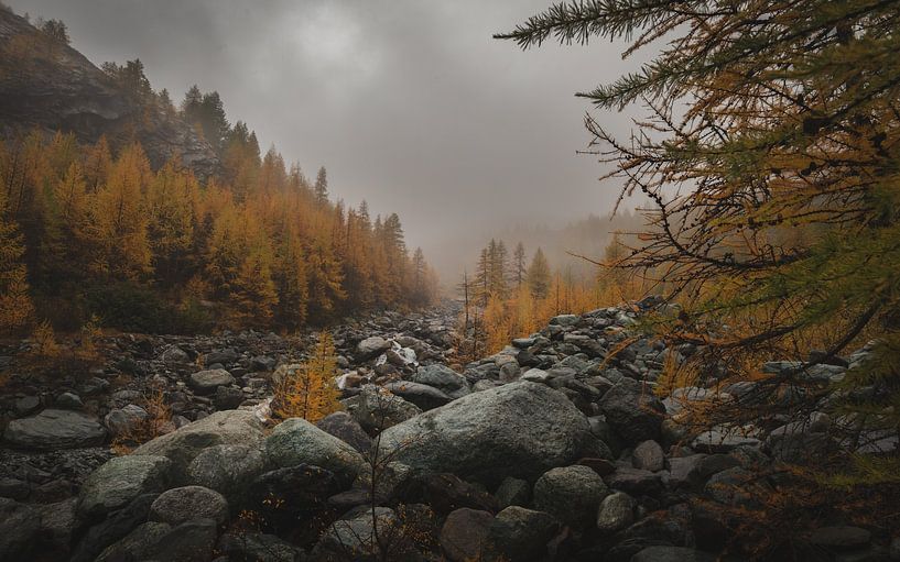 Autumn colours in Switzerland by Maarten Salverda