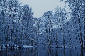 Kapperskolk Doetinchem in de sneeuw van Torrentius